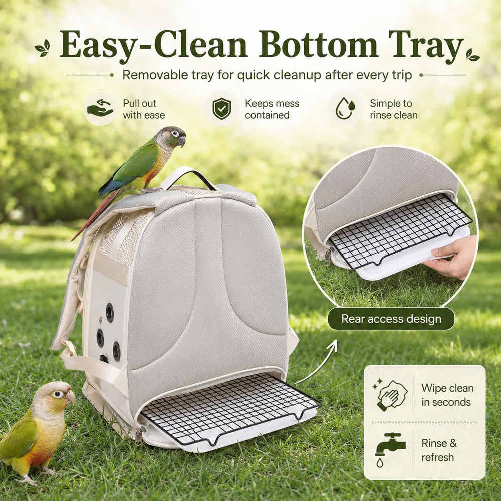 petdiwoo distributeur double pour eau et nourriture séparées