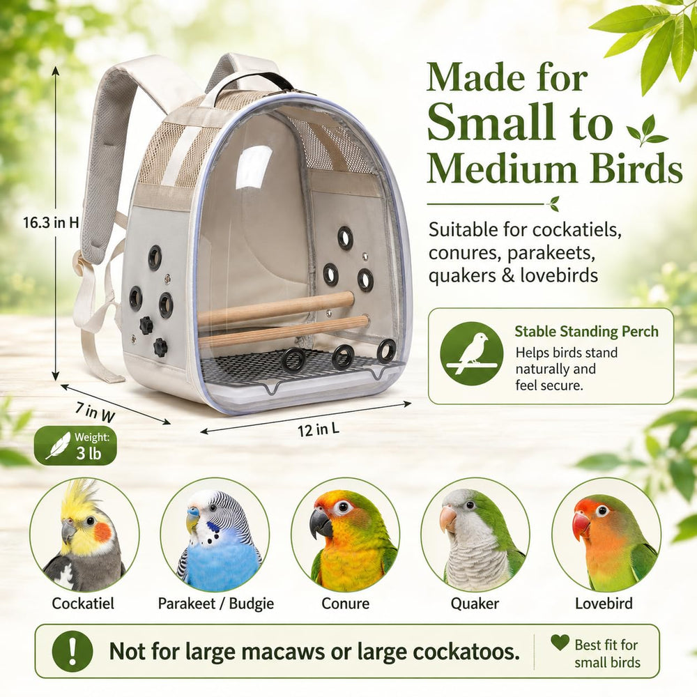 petdiwoo comparaison de taille montrant échelle et dimensions pratiques