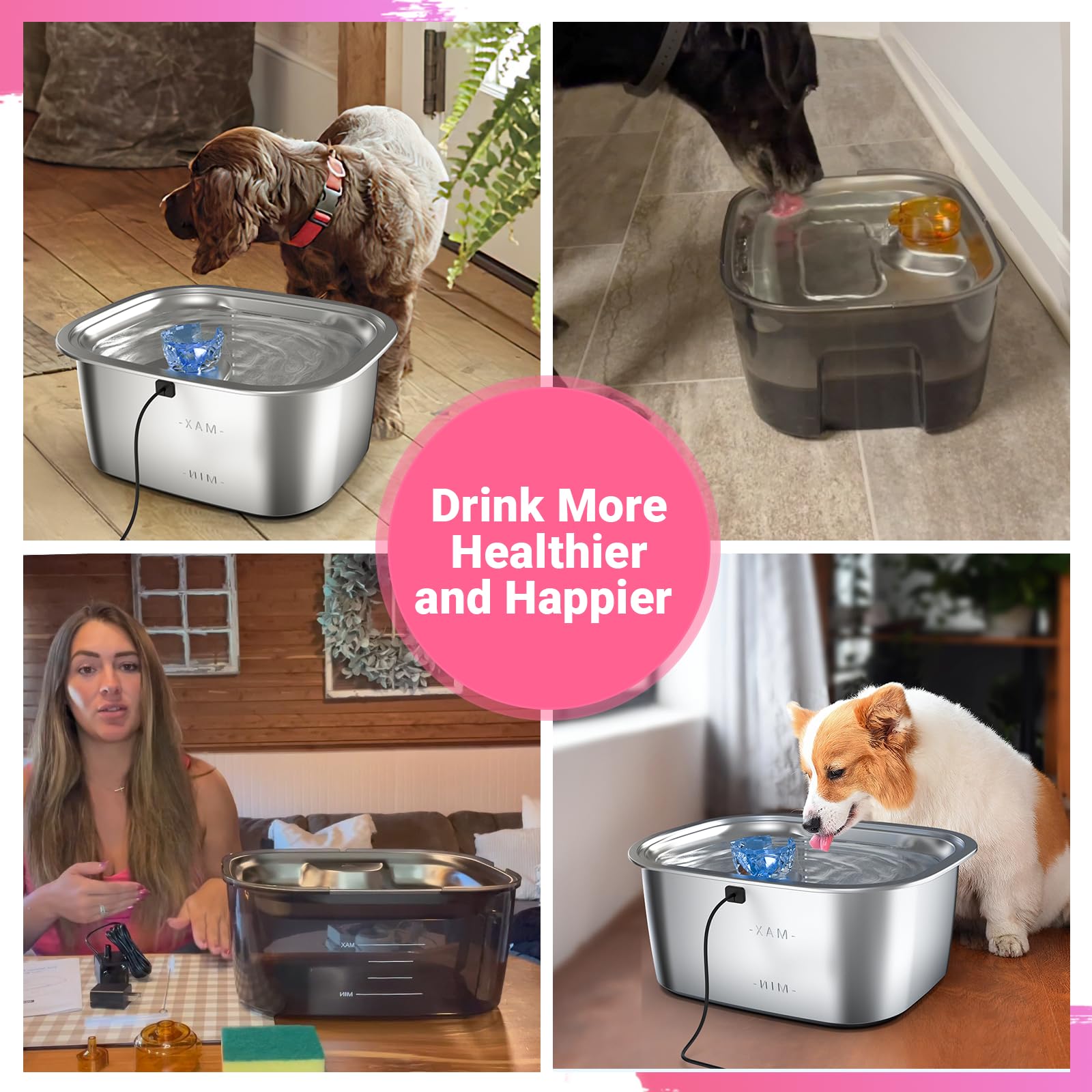 PETDOTT filtre en situation cuisine offrant eau fraîche au chien
