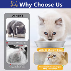 Petdream bol en usage avec chat mangeant confortablement