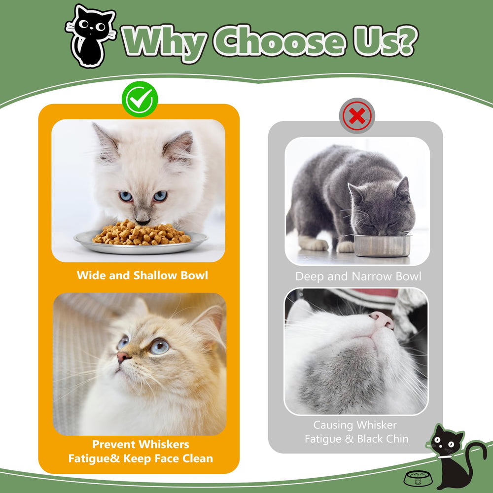 Petdream bol profil plat réduisant contact moustaches
