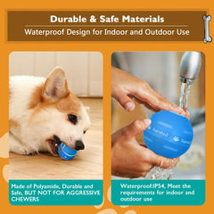 PetDroid balle en action avec chien pour stimuler exercice et chasse ludique