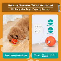PetDroid: balle interactive en mouvement attirant l'attention du chien