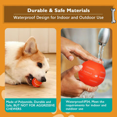 PetDroid: balle sur pelouse montrant usage extérieur et faible bruit