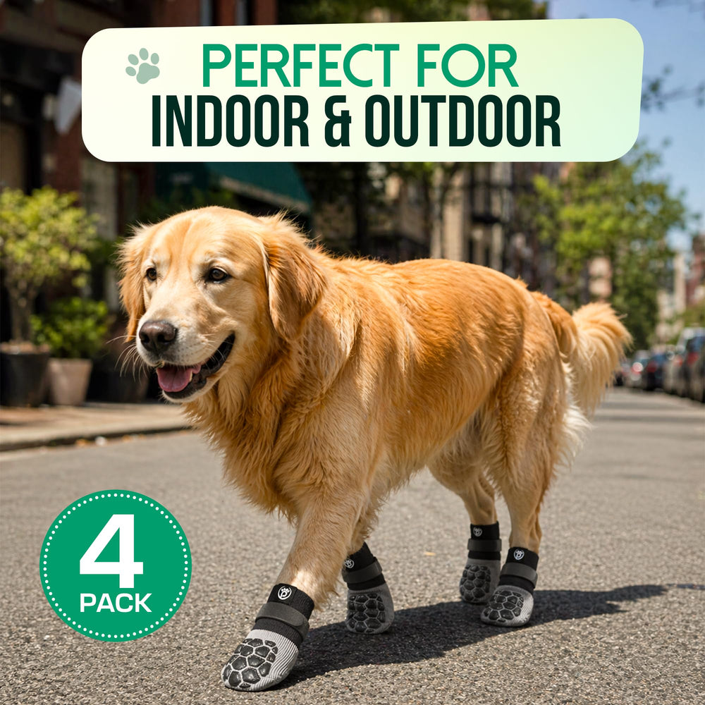 petelier MaxGrip ambiance intérieure chien reposant pour confort quotidien