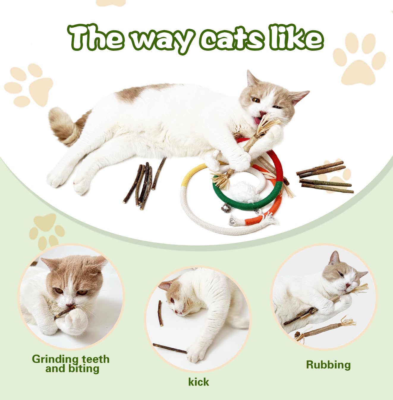 Petelligent chat mâchouillant bâton montrant stimulation et plaisir