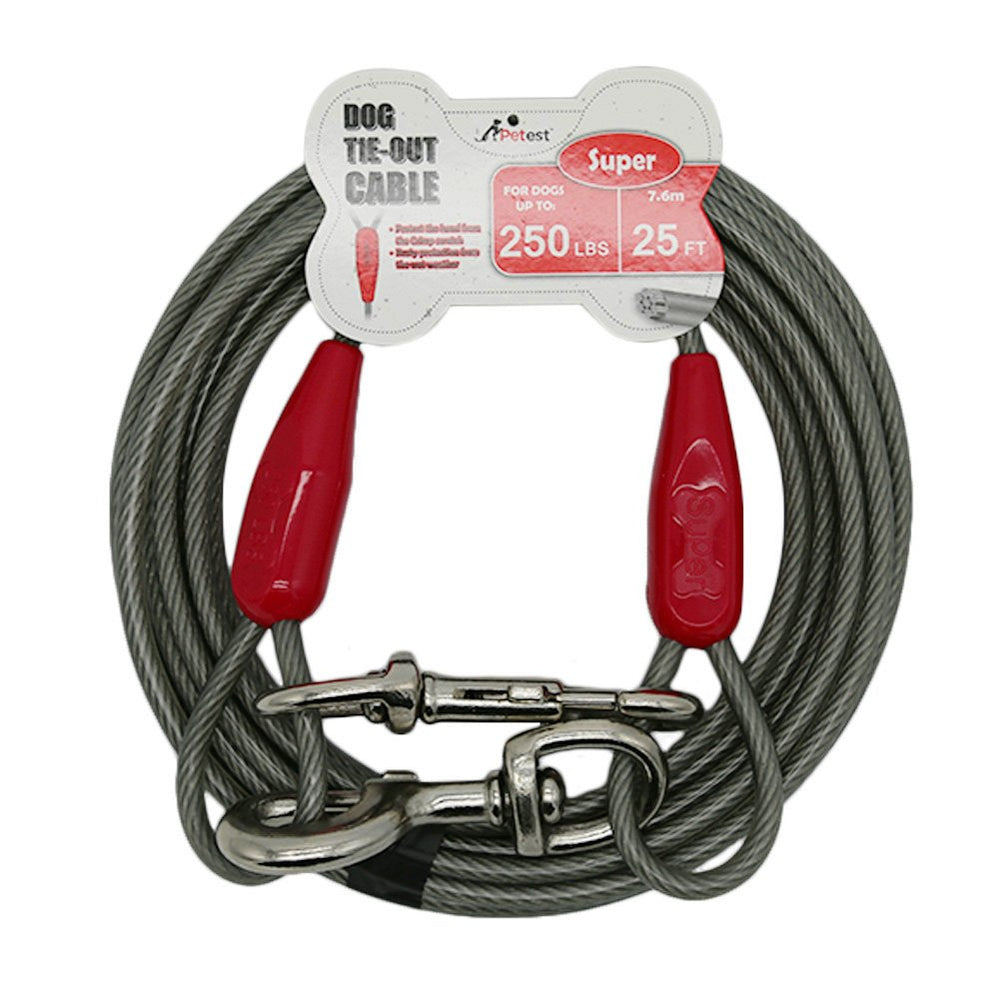 Petest câble 25ft face avant montrant robustesse et longueur