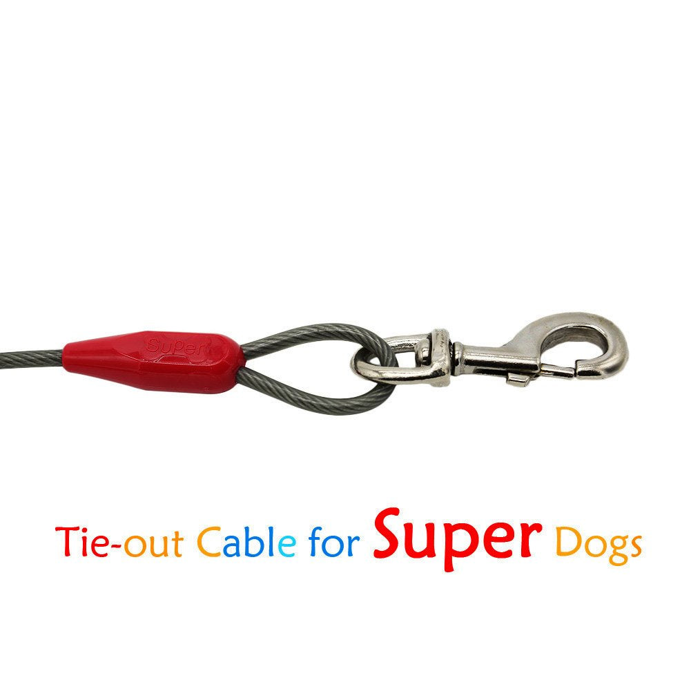 Petest câble en usage avec chien explorant offrant liberté contrôlée