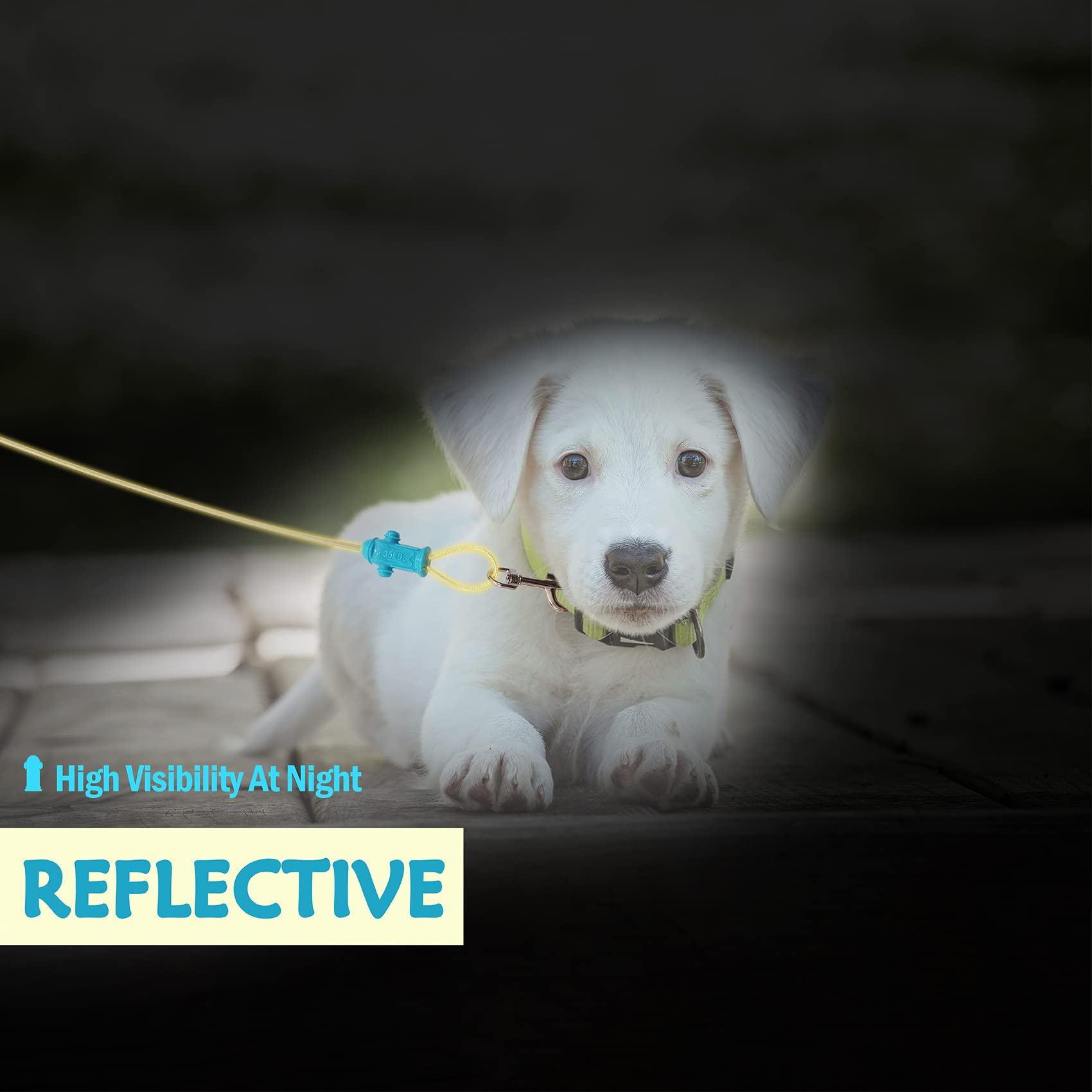 Petest comparaison d'échelle montrant 15 ft pour petites tailles de chiens