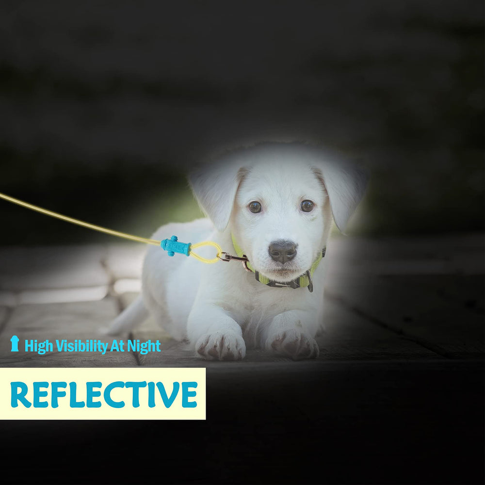Petest comparaison d'échelle montrant 15 ft pour petites tailles de chiens