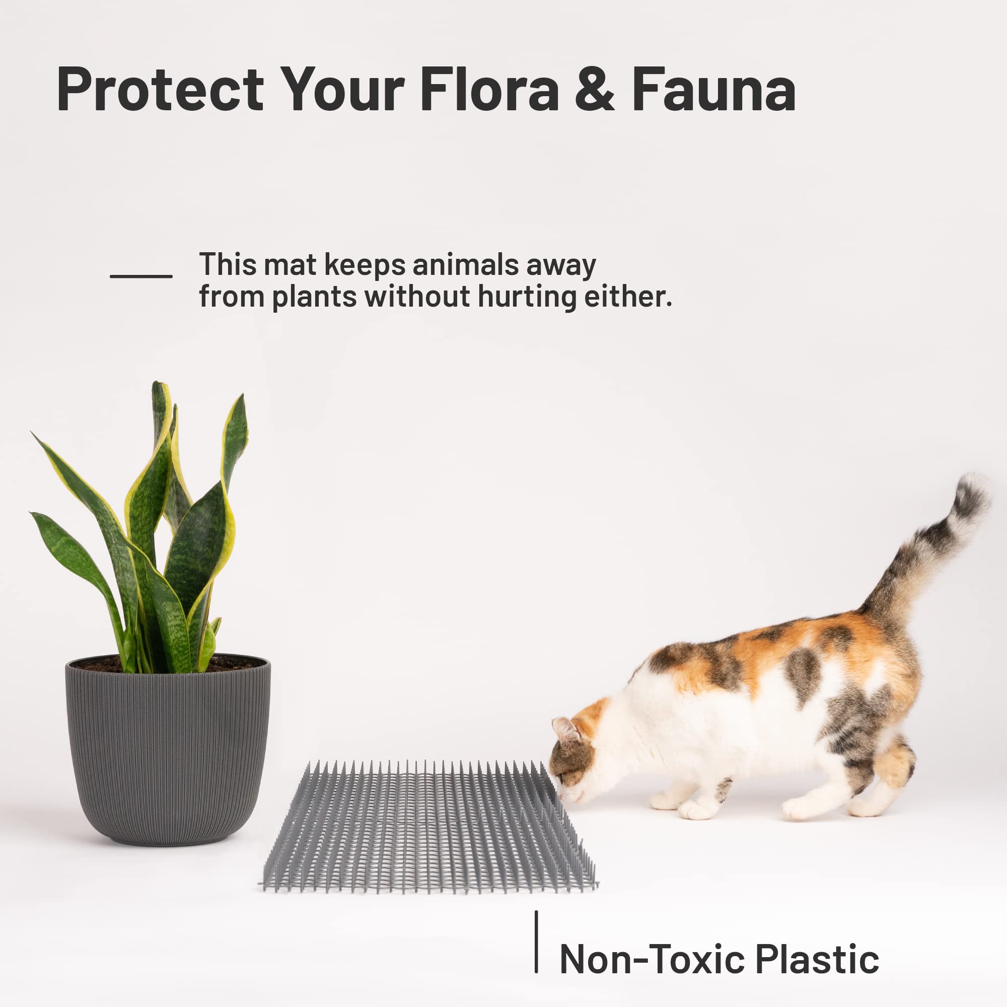 Petfolio tapis utilisé autour d'une jardinière pour prévenir le fouissage