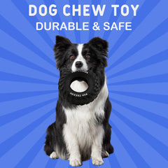 PETFROH gros plan des motifs adhérents pour nettoyage dentaire