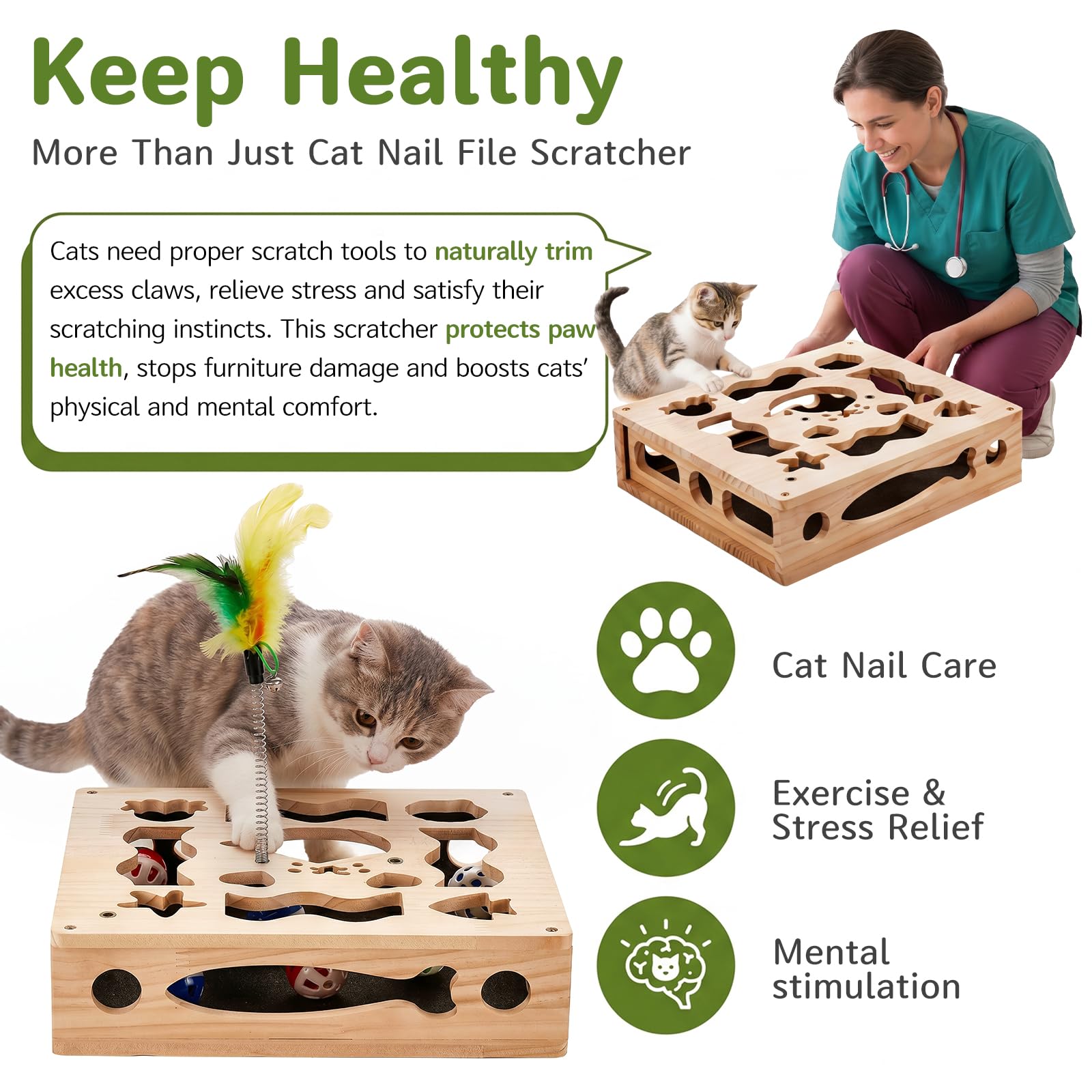 PETFUN baguettes teaser en action stimulant l'instinct de chasse du chat