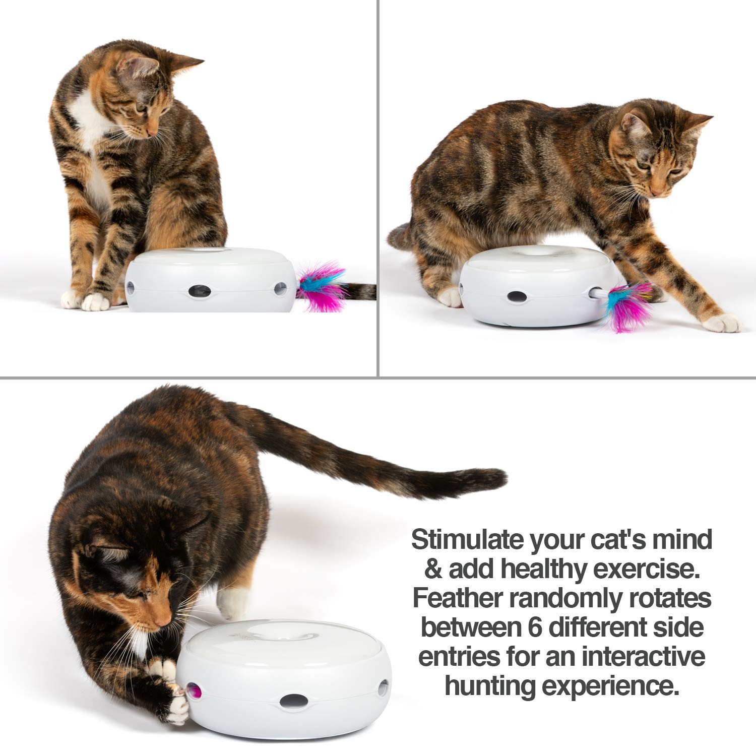 PetFusion Ambush en action avec rotation démontrant stimulation de chasse