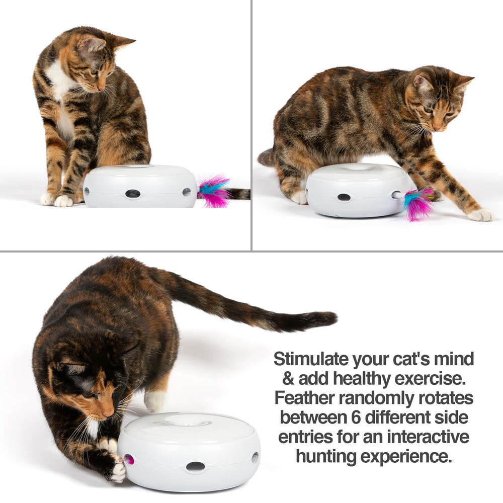 PetFusion Ambush en action avec rotation démontrant stimulation de chasse