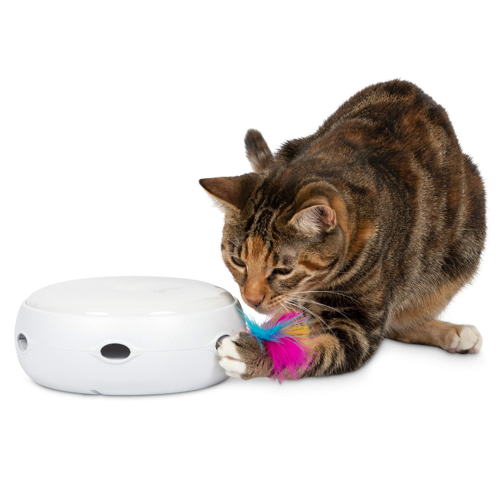PetFusion Ambush face avant montrant la base stable et le design compact bénéfique