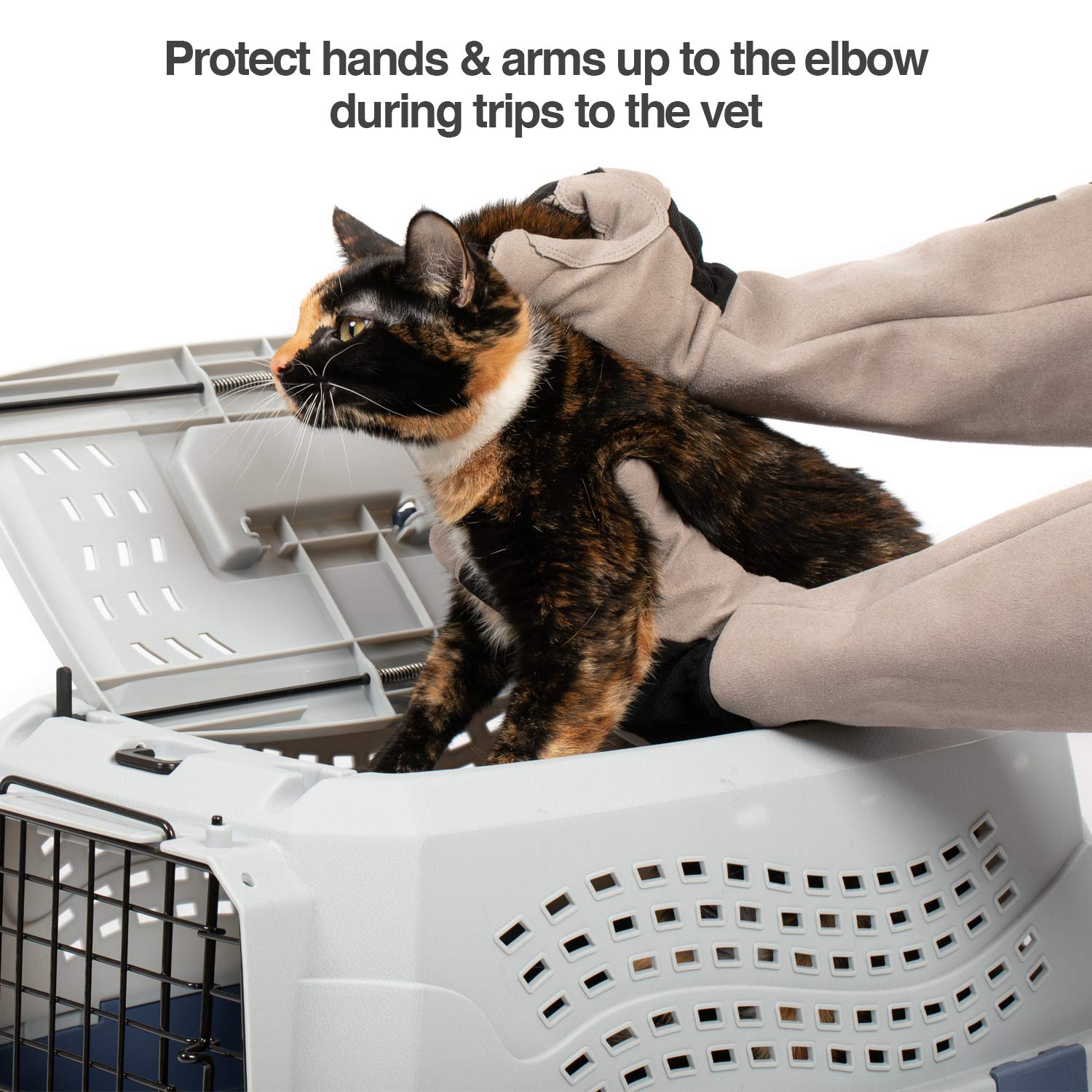 PetFusion gant sous la douche illustrant résistance à l'eau pratique