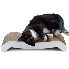 PetFusion grattoir face avant montrant la courbe et allure moderne