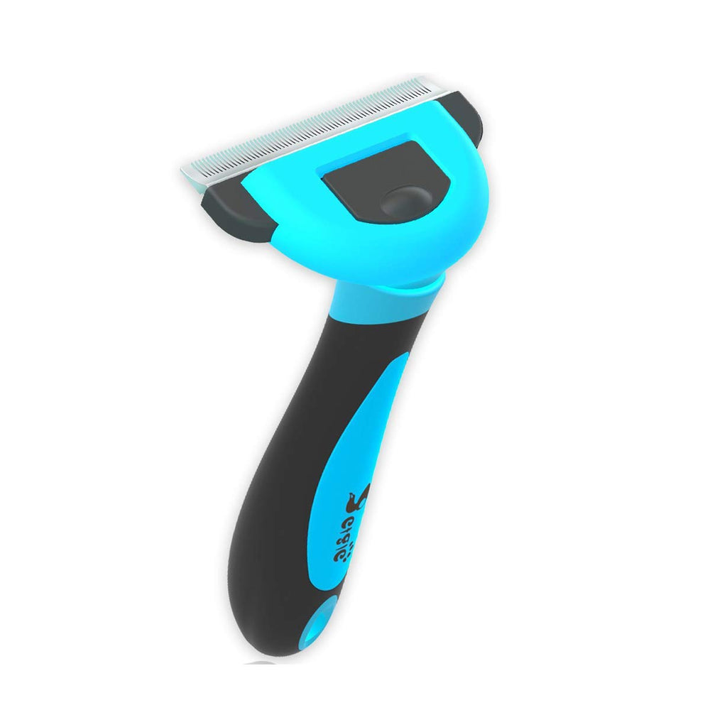 petgle brosse face bleue montrant design compact et contrôle optimal