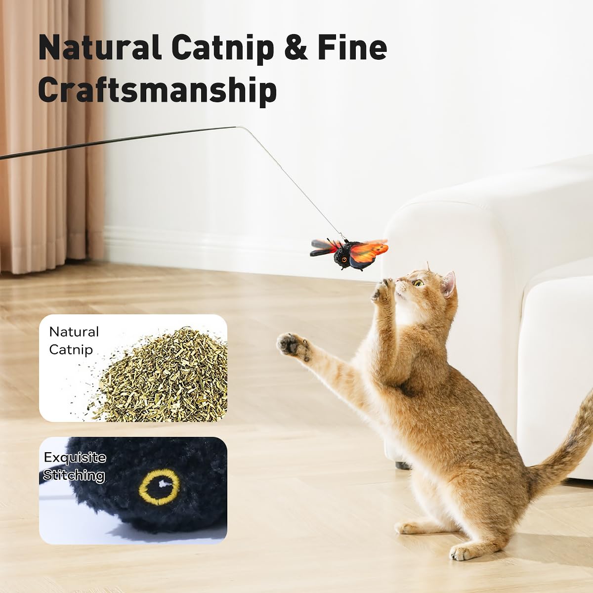 Petgravity papillon avec poche de cataire augmente la curiosité