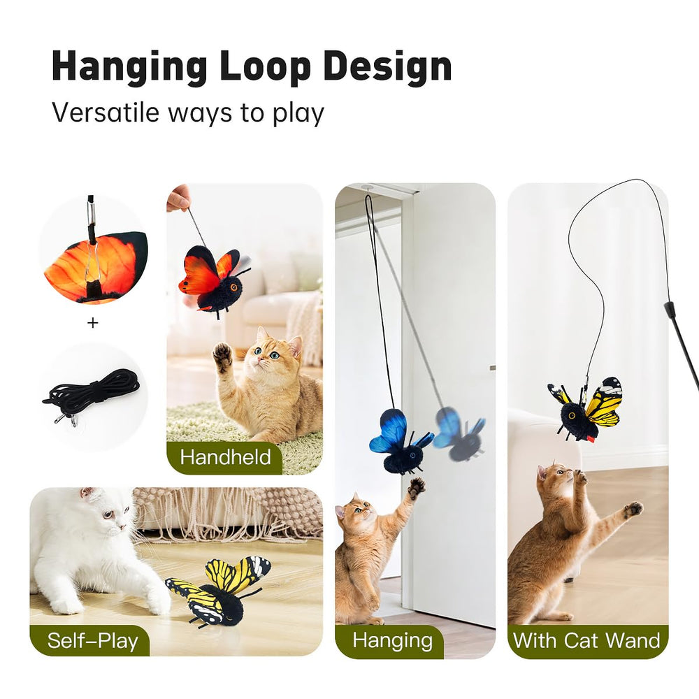 Petgravity comparaison taille montrant proportions adaptées aux chats domestiques