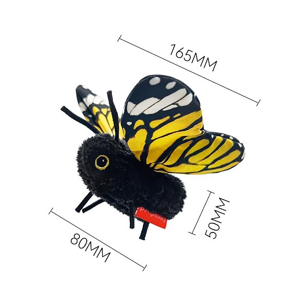 Petgravity emballage ouvert montre accessoires et câble USB