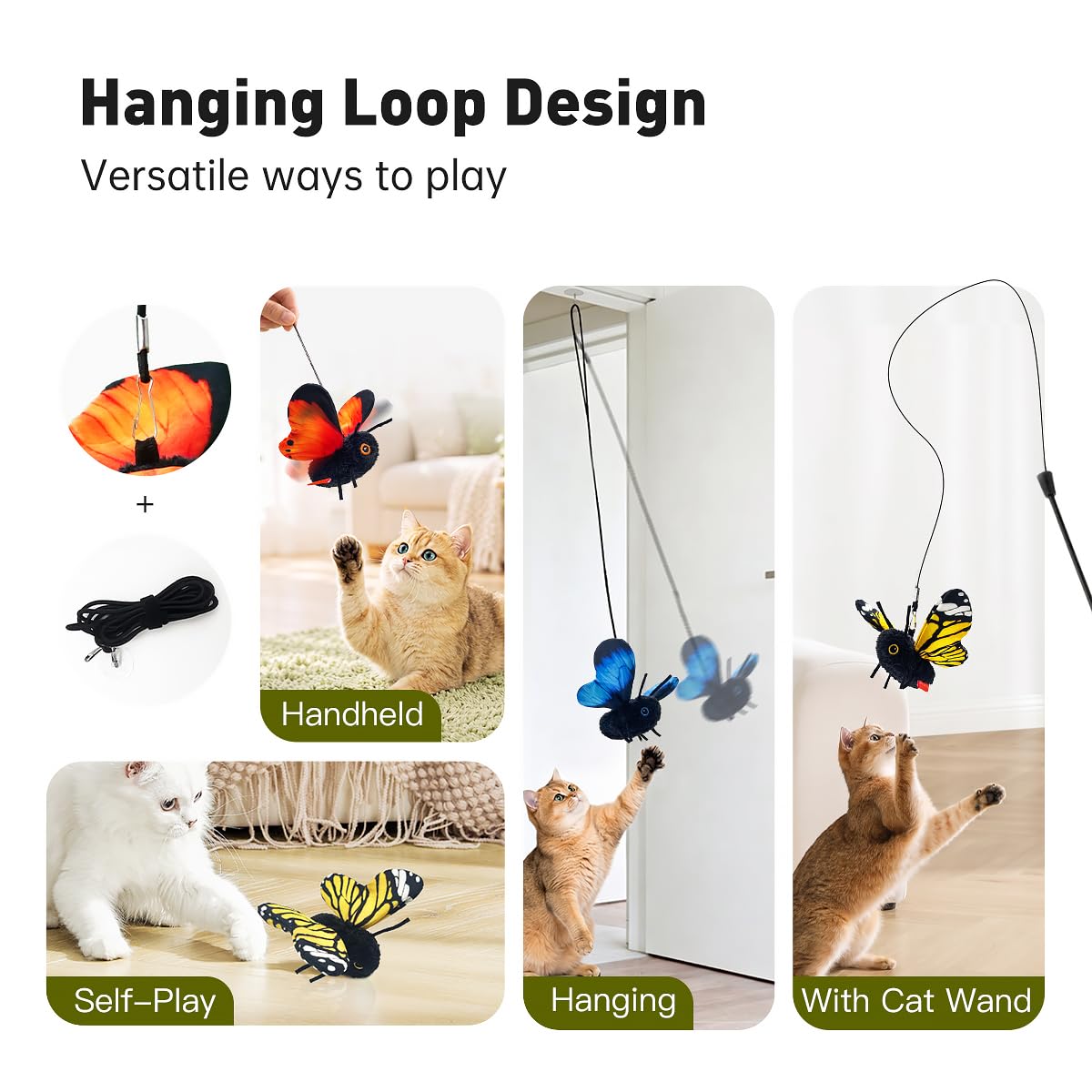 Petgravity papillon taille comparée montre échelle pour le foyer