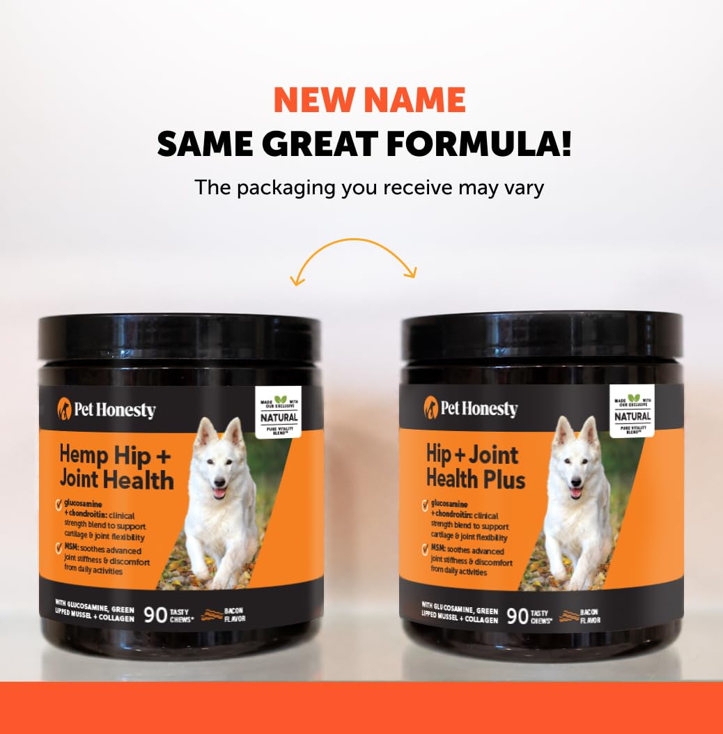 Pet Honesty chien senior en mouvement, met en valeur regain d'énergie