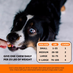 Pet Honesty chiot mange un comprimé, favorise conformité et plaisir