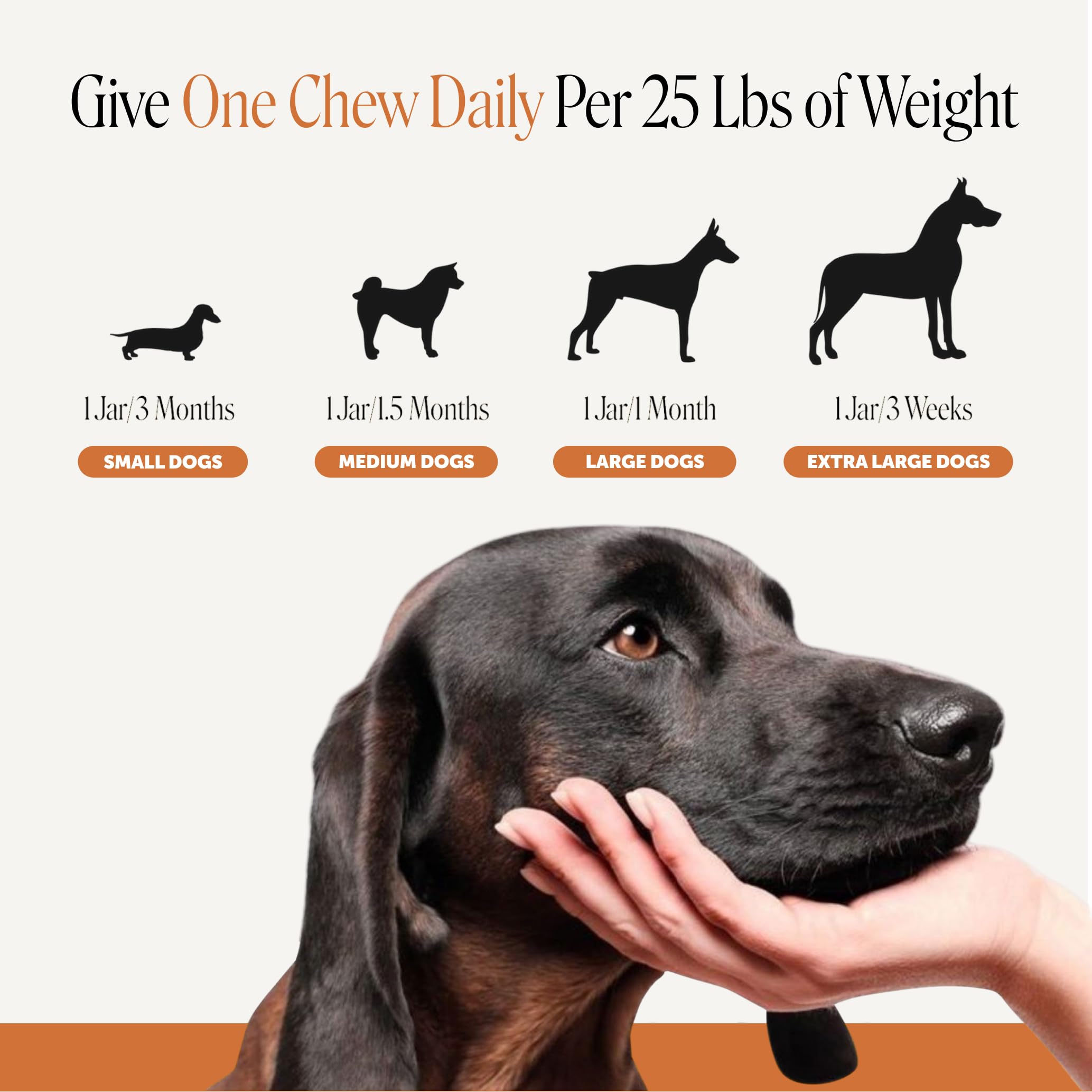 Pet Honesty comparaison taille pastille pour petites et grandes races