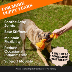 Pet Honesty gros plan du comprimé révélant texture appétente et qualité