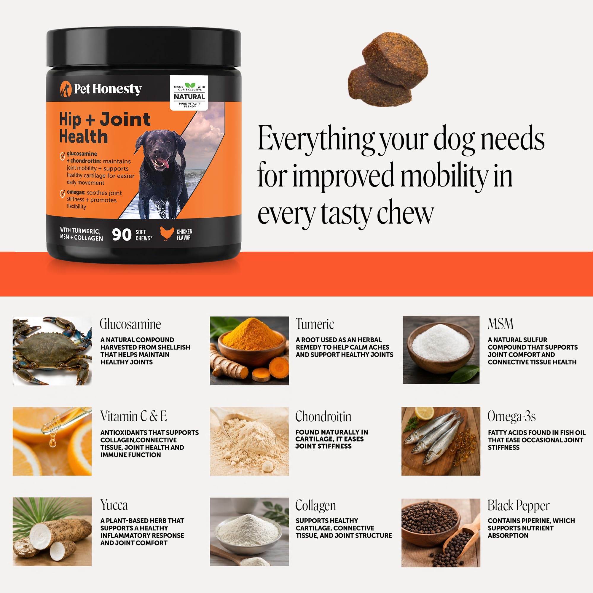 Pet Honesty chien qui mange la friandise favorise acceptation quotidienne