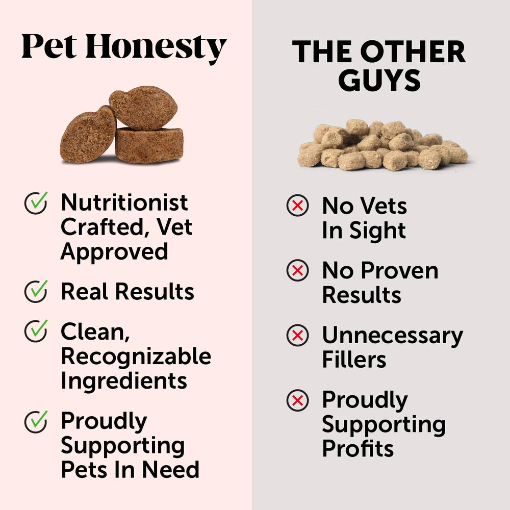 Pet Honesty moment famille en plein air soulignant bien-être canin