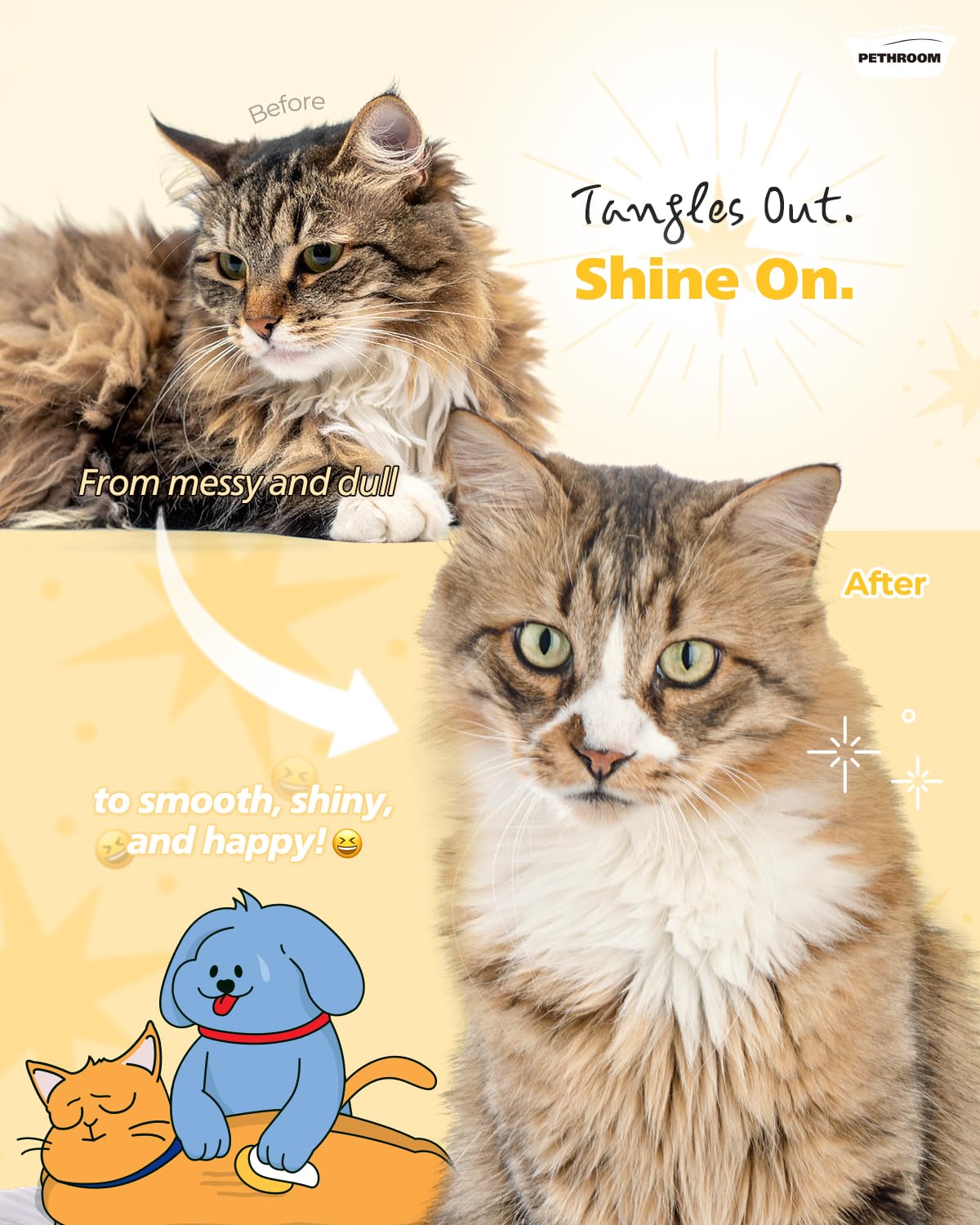 PETHROOM brosse utilisée sur un chat pour réduire les poils et apaiser