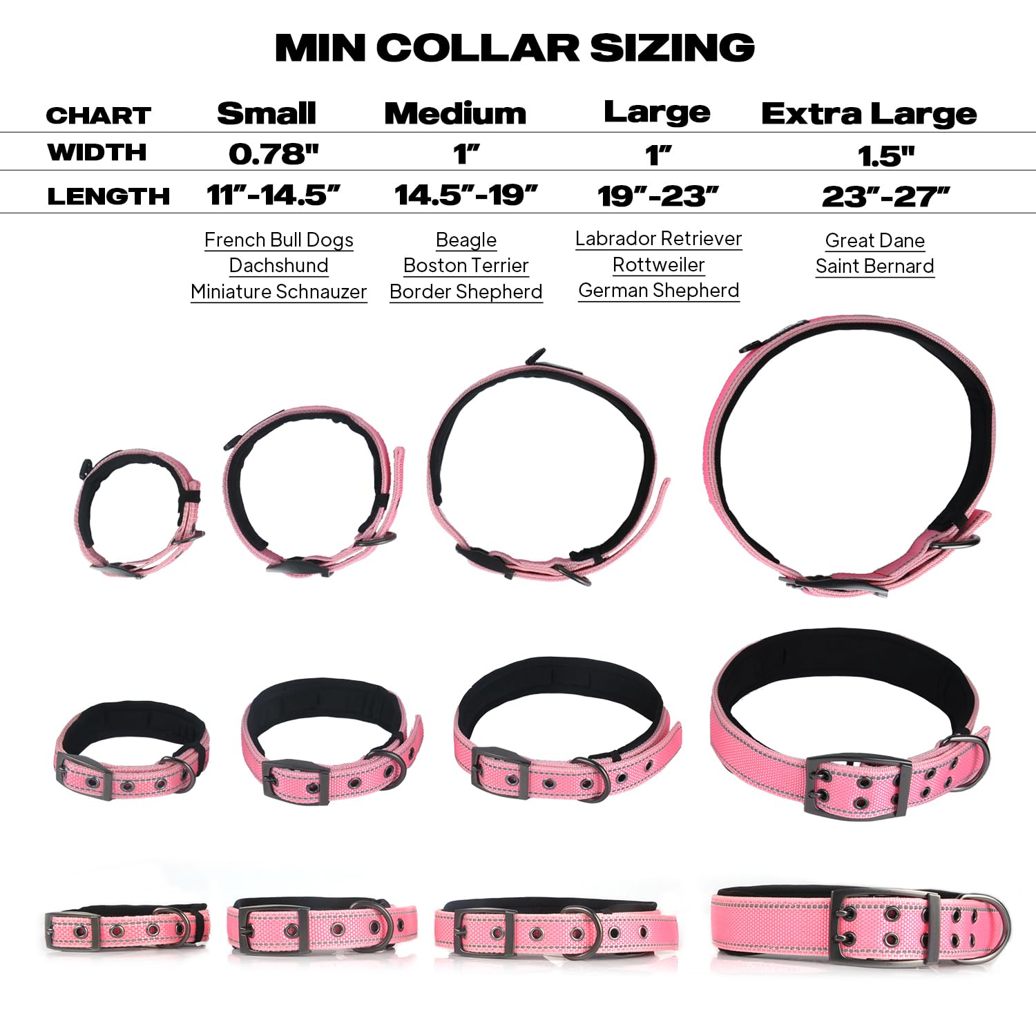 PetiFine collier porté en promenade illustrant utilisation réelle
