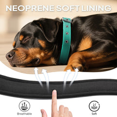 PetiFine collier zoom sur sangle tressée résistante pour plus de longévité