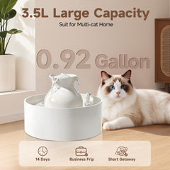 PETIMI vue de dessus montrant la capacité 3 L et le flux central