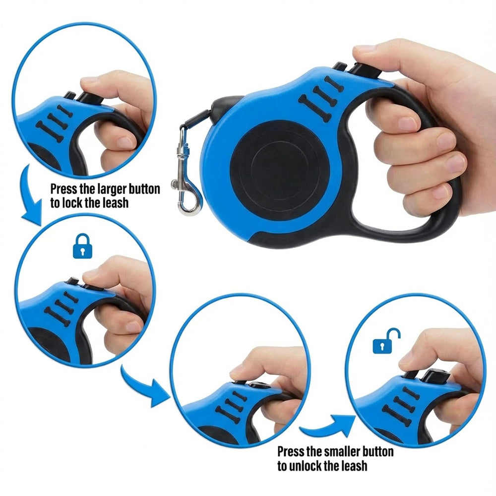 PETIMP bol pliable ouvert pratique pour eau et nourriture en promenade