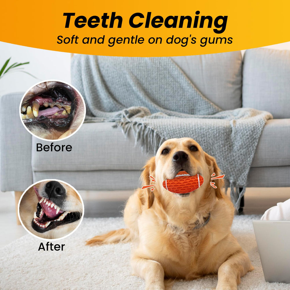 Petinstinct chien jouant dans le jardin mettant en valeur robustesse