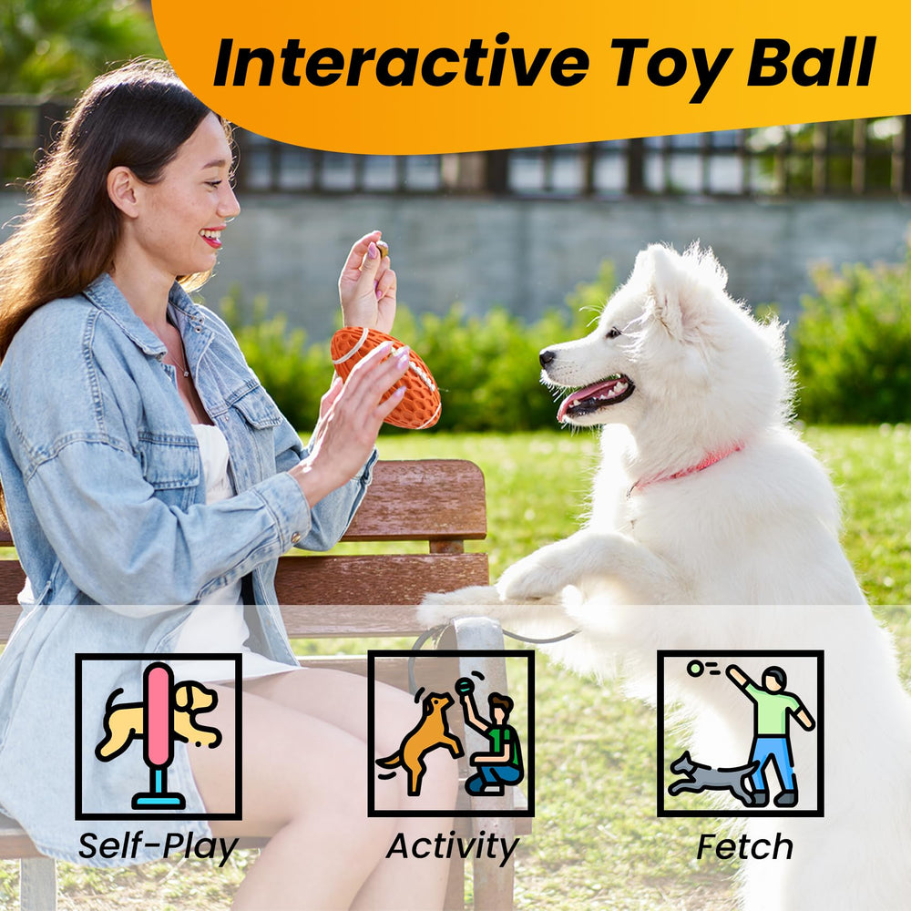 Petinstinct chien actif rapportant la balle démontrant plaisir et énergie