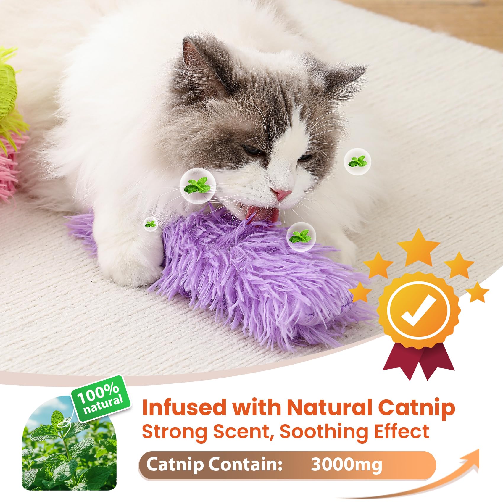 Petinstinct chaton jouant avec le coussinet illustrant stimulation active