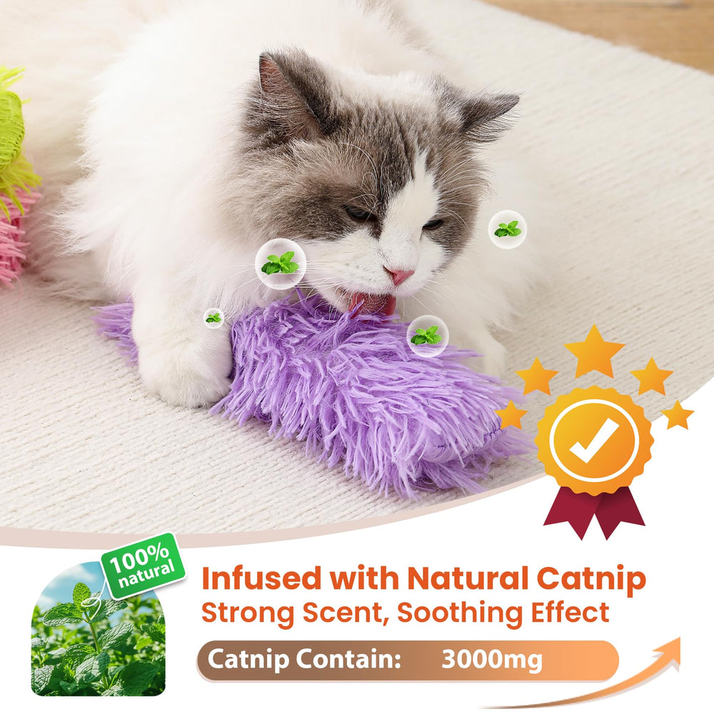 Petinstinct chaton jouant avec le coussinet illustrant stimulation active