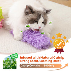 Petinstinct chaton jouant avec le coussinet illustrant stimulation active