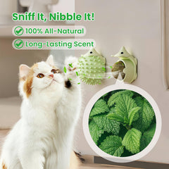 petinstinct jouet fixé au mur encourage activité autonome du chat