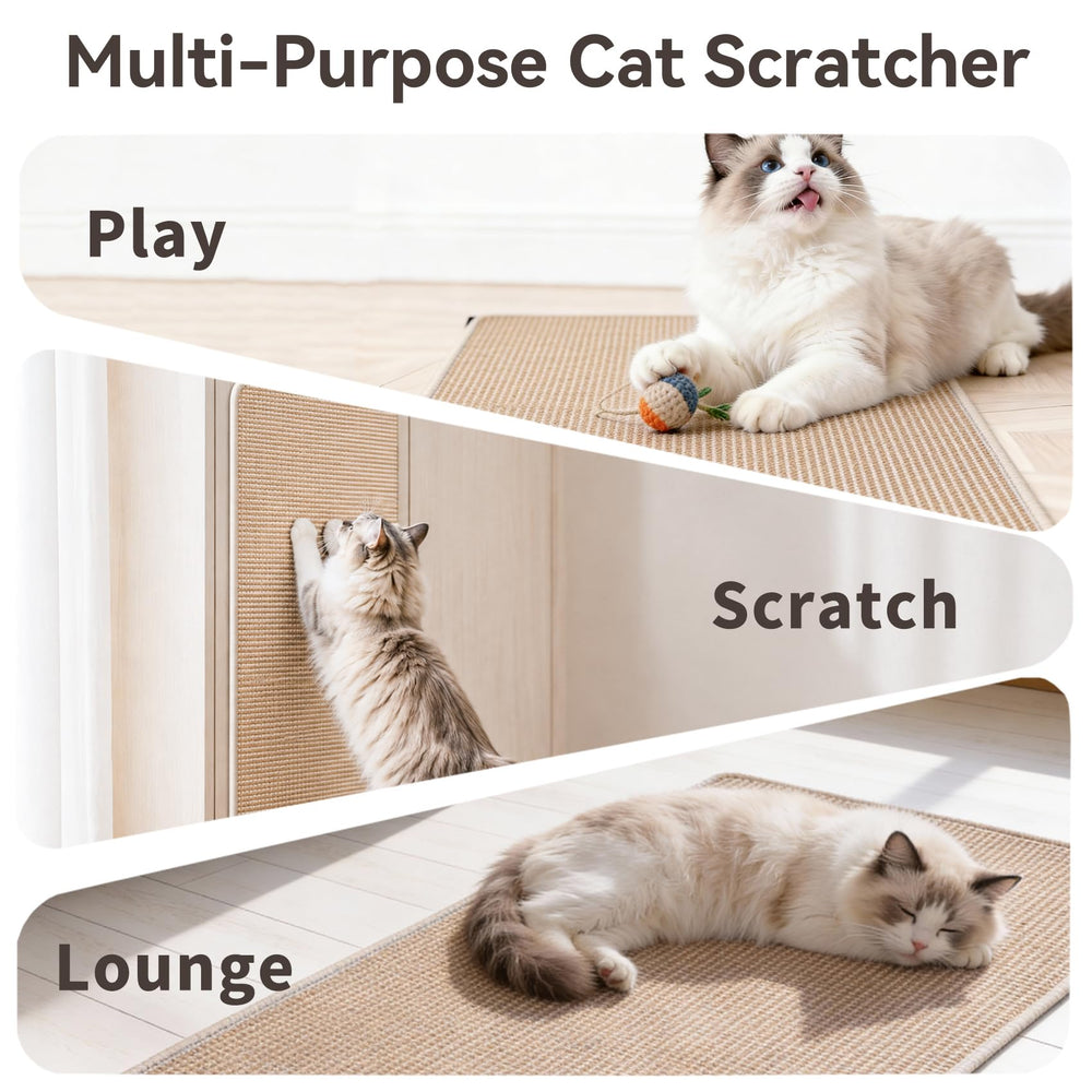 Petinstinct chat qui s'étire encourage jeu et activité saine