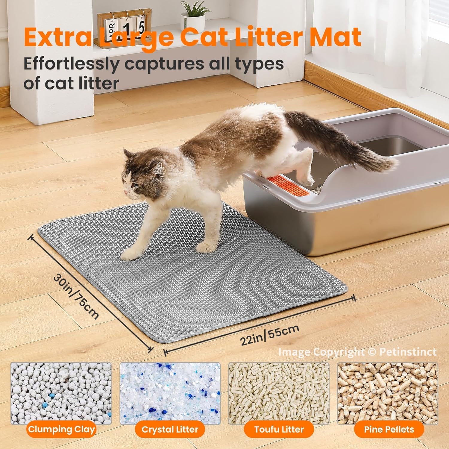 Petinstinct gros plan alvéoles retient grains et protège pattes
