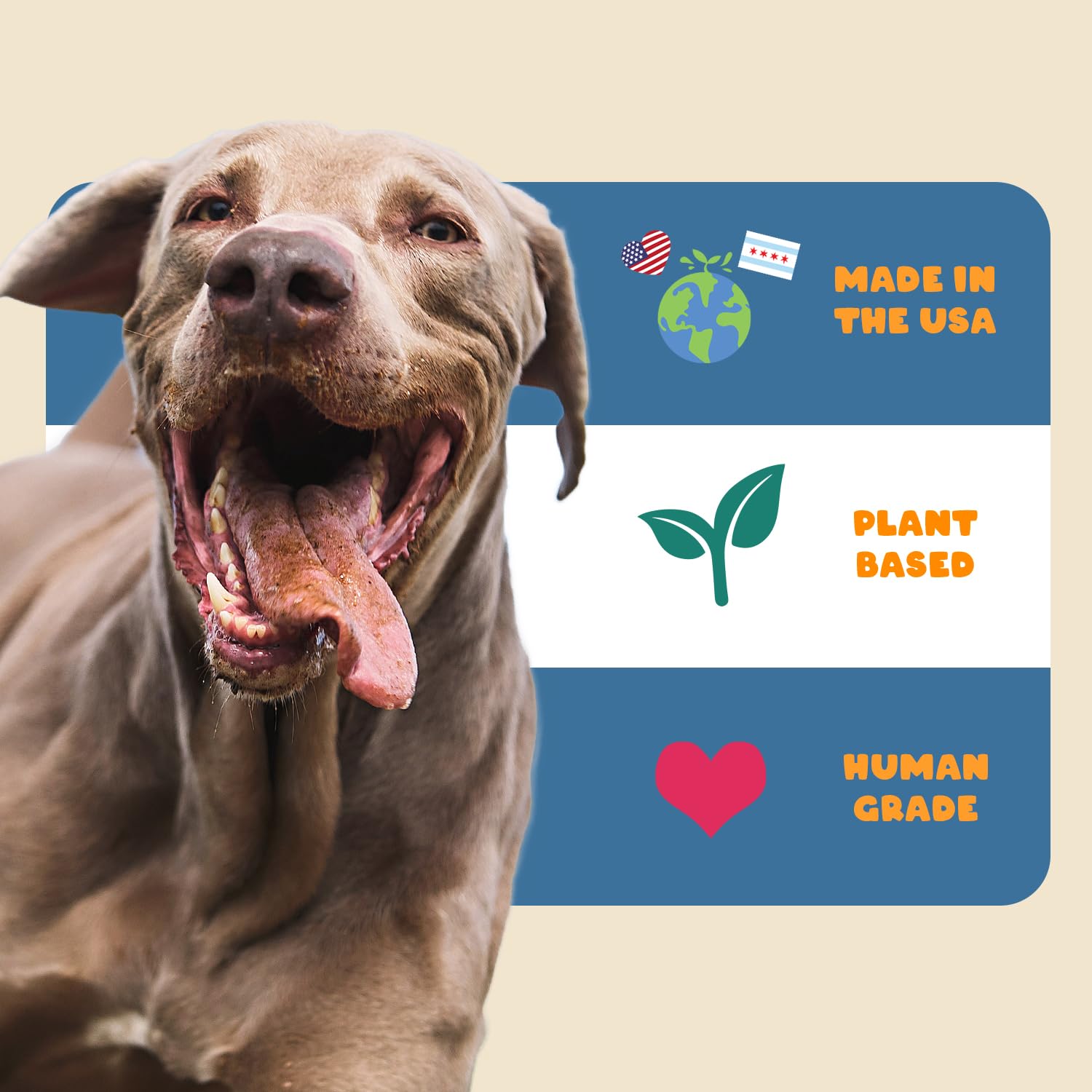 Petipet étiquette ingredients prouvant qualité human‑grade et pureté