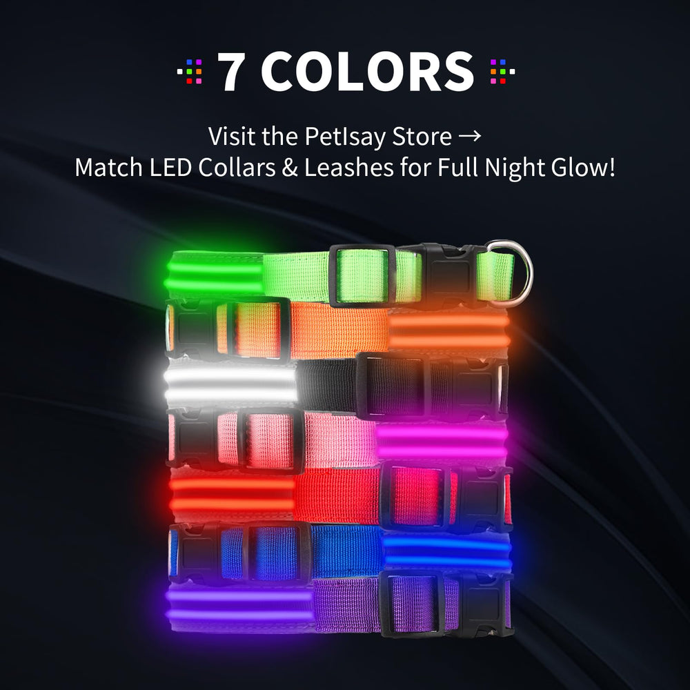 PetIsay collier visible en contexte urbain nocturne pour sécurité