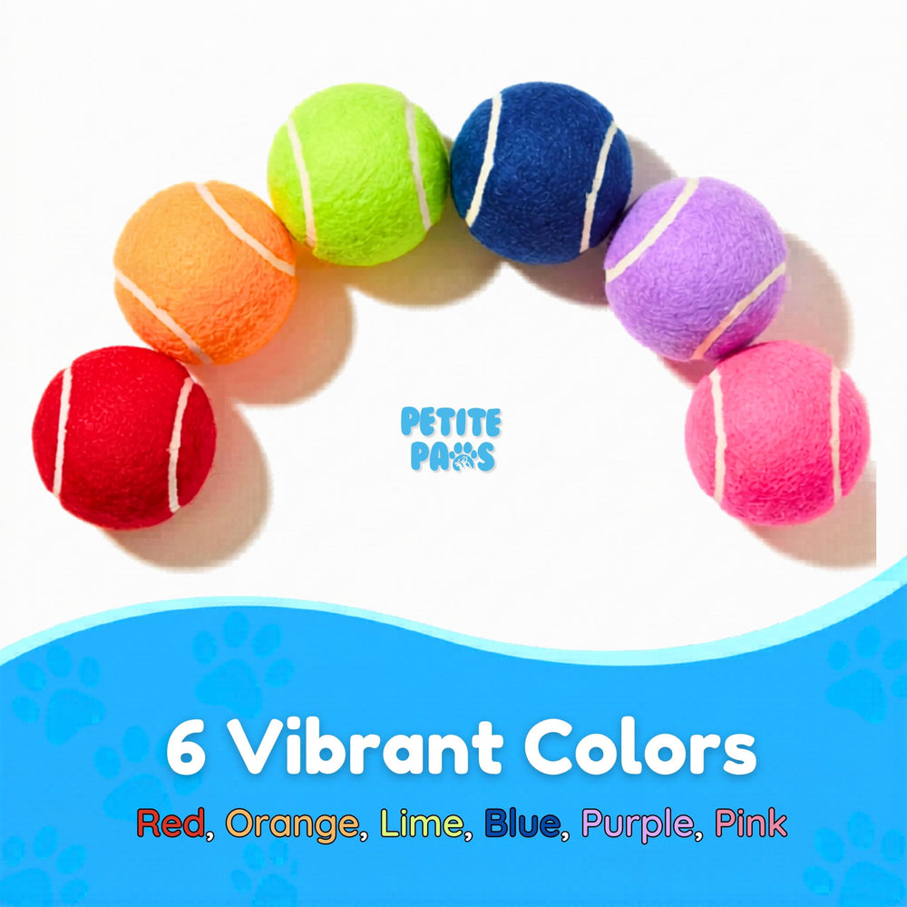 Petite Paws ensemble de six balles montrant variété de couleurs pour repérage