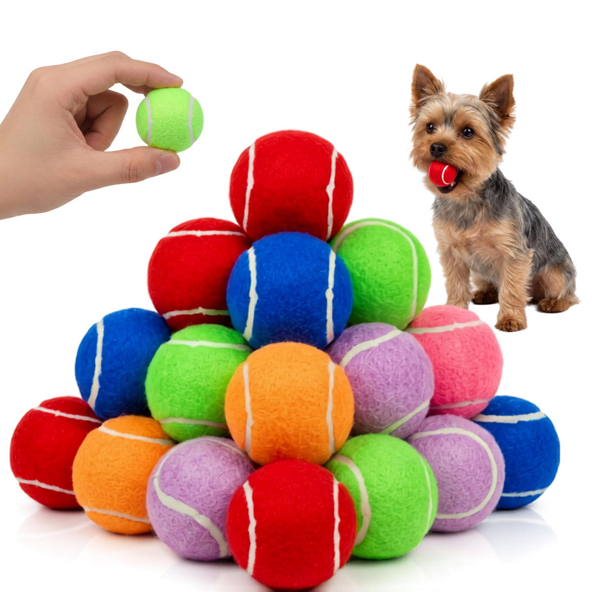 Petite Paws vue avant du pack de six balles mini, pratique pour transport
